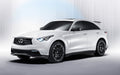 2009-2013 - INFINITI - FX50S AWD (With CDC) - BC Racing Coilovers